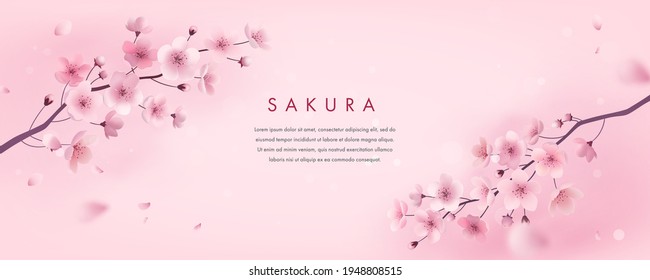 Spring cherry blossom horizontal banner. Vector illustration of realistic blossoming sakura flowers. Floral background for poster, brochures, booklets, promotional materials, website