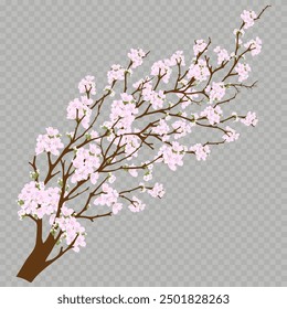 Spring Cherry Blossom isolated, Pink Sakura Flower or Apple Flowers Branches,Vector Element for Banner Mother day design of invitations, posters, fabrics and other objects