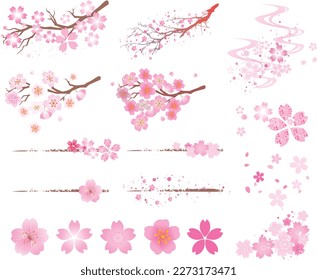 Spring cherry blossom Japanese season background
