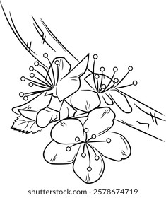 Spring cherry blossom outline illustration