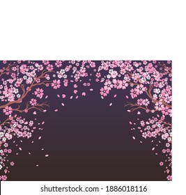 Spring cherry blossom petals on the background of the night sky
