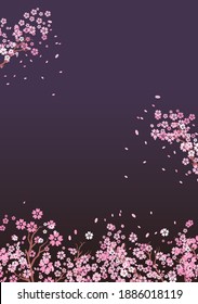 Spring cherry blossom petals on the background of the night sky
