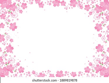 Pétalos de flores de cerezo de primavera sobre fondo rosa
