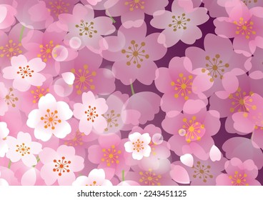 Spring cherry blossom plant background beautiful
