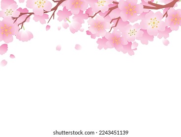 Spring cherry blossom plant background beautiful
