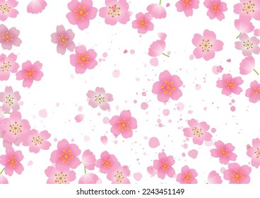 Spring cherry blossom plant background beautiful
