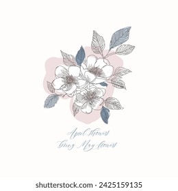 Spring cherry blossom or sakura, apple tree flowers floral vector illustration with springtime text quote. April showers, May flowers