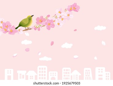 Paisaje urbano de la temporada de floración de cerezo de primavera