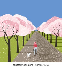 Spring cherry blossoms in city garden outdoor poster. Bicyclist riding bicycle, running dog on blooming sakura park alley. Colorful cartoon retro style. Vector leisure lifestyle vintage illustration