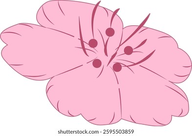 Spring cherry blossoms gently fragrant beauty