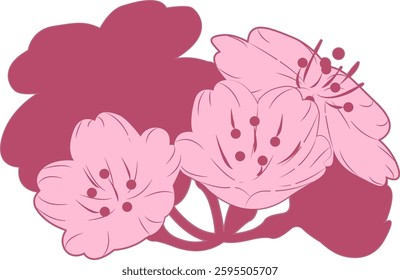 Spring cherry blossoms gently fragrant beauty