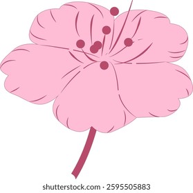 Spring cherry blossoms gently fragrant beauty