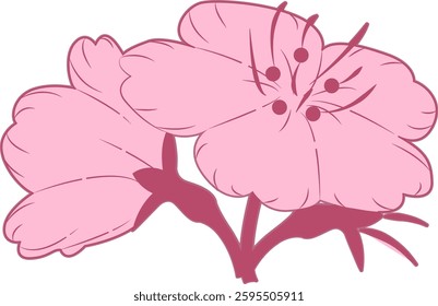 Spring cherry blossoms gently fragrant beauty