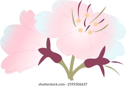 Spring cherry blossoms gently fragrant beauty