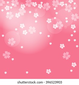 Spring Cherry Blossoms on pink background