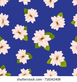 Spring cherry blossoms. Seamless pattern with Japanese sakura. Flowers on blue background. Romantic Vector illustration.