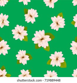 Spring cherry blossoms. Seamless pattern with Japanese sakura. Pink flowers on green background. Romantic Vector illustration.
