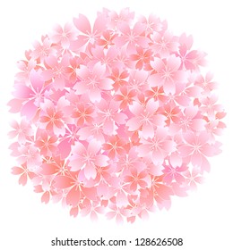 Spring cherry petals