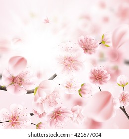 Spring cherry tree blossoms on pink bokeh background. Very shallow DOF. EPS 10 vector file included