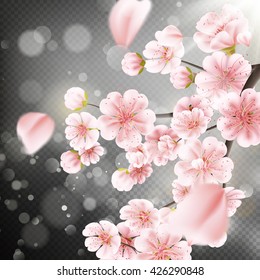 Spring cherry tree blossoms on pink bokeh background. Very shallow DOF. EPS 10 vector file included