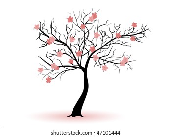 Spring cherry tree silhouette - vector illustration