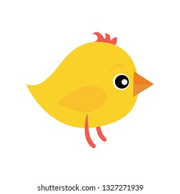 Spring chicken. Yellow bird, cartoon animal, chick. Animals concept. Vector illustration can be used for topics like Easter, spring holidays, country