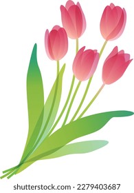 Spring, clear and bright tulip bouquet