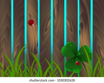 Spring clover, ladybugs, grass on wooden brown garden fence background. St. Patrick's day, Saint, Patrick, holiday, nature, good luck, flower, leaf texture summer village Vector eps10