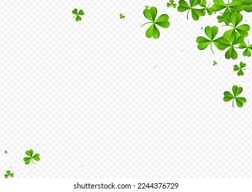 Spring Clover Minimal Vector Transparent Background. Malachite Shamrock Isolated Pattern. Saint Patrick Leaf Design. Olive color Foliage Air Template.