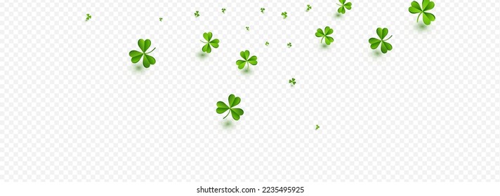 Spring Clover Saint Patrick Vector Transparent Panoramic Background. Green Leaves Fly Pattern. Summer Leaf Template. Olive color Shamrock Falling Backdrop.