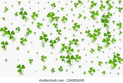 Spring Clover Saint Patrick Vector Transparent Background. Bright Leaves Minimal Illustration. Isolated Leaf Wallpaper. Green Shamrock Stream Backdrop.