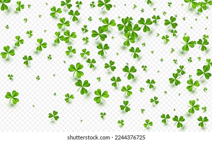 Spring Clover Summer Vector Transparent Background. Bright Foliage Holiday Wallpaper. Isolated Leaves Illustration. Olive color Leaf Stream Template.