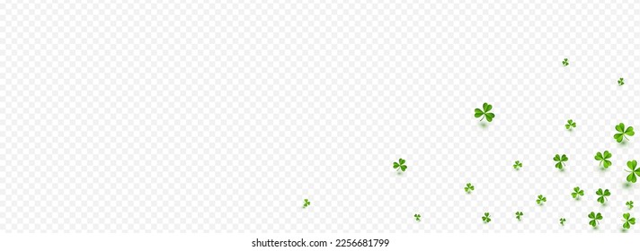 Frühlingsklee Sommervektor transparenter Panoramablick Hintergrund. Malachite Blätter Feiertagsvorlage. Fliegen Sie Shamrock-Hintergrund. Olivenfarbe Blattwerk Saint Patrick Tapete.