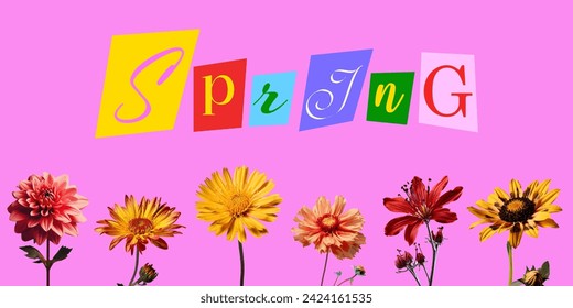 Spring collage. Trendy collage with realistic flowers and paper cutouts with letters. Vector illustration