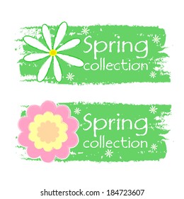 spring collection banners - text in green drawn labels with white and pink daisy flowers, business shopping seasonal concept, vector