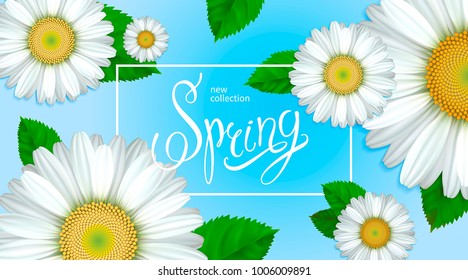Spring collection. Flowers chamomile, green leaves and white frame on a blue background. Design for greeting cards, banners, calendars, posters, invitations, advertising, announcements of sales.