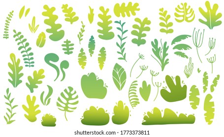 Spring collection green garden vegetation bushes and plants designs icon set. Vector illustration