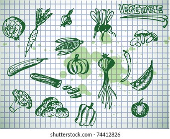 spring collection of vegetable