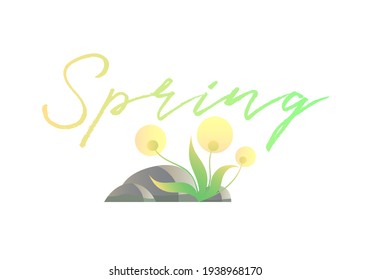 Spring, color inscription with dandelions and stones, isolated image on a white background. Vector illustration