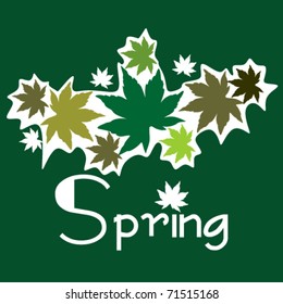 spring with colored leafs