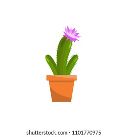 Spring colorful flowers in pots Vector illustration on white background