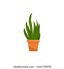Spring colorful flowers in pots Vector illustration on white background