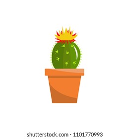 Spring colorful flowers in pots Vector illustration on white background