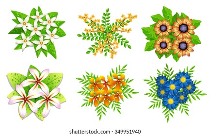 Spring colorful flowers Vector set