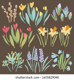 Spring colorful isolated flower collection on brown background. Red and yellow tulips, crocuses, lavender, hyacinths, daffodils, willow, mimosa. Vector cartoon flat stock illustration