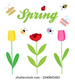 Spring colorful vector illustration background, isolated. Writing spring with flowers; tulip, poppy flower and cute insect; ladybug, butterfly, bee and bugs.