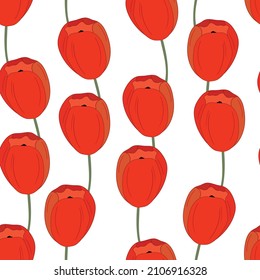Ilustración vectorial colorida primavera con tulipanes rojos. Estilo de caricatura. Diseño para tela, textil, papel. Impresión de vacaciones para Pascua, cumpleaños, 8 de marzo. Flores con hojas.