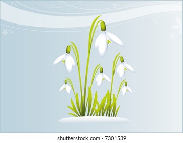 Spring is coming