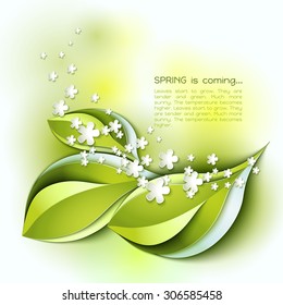 Spring is coming abstract vector background. Green spring leaves and white flowers. Paper spring design. Green spring