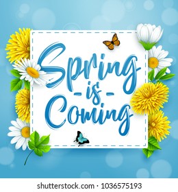 Spring is coming. Spring background with beautiful colorful flower on blue background